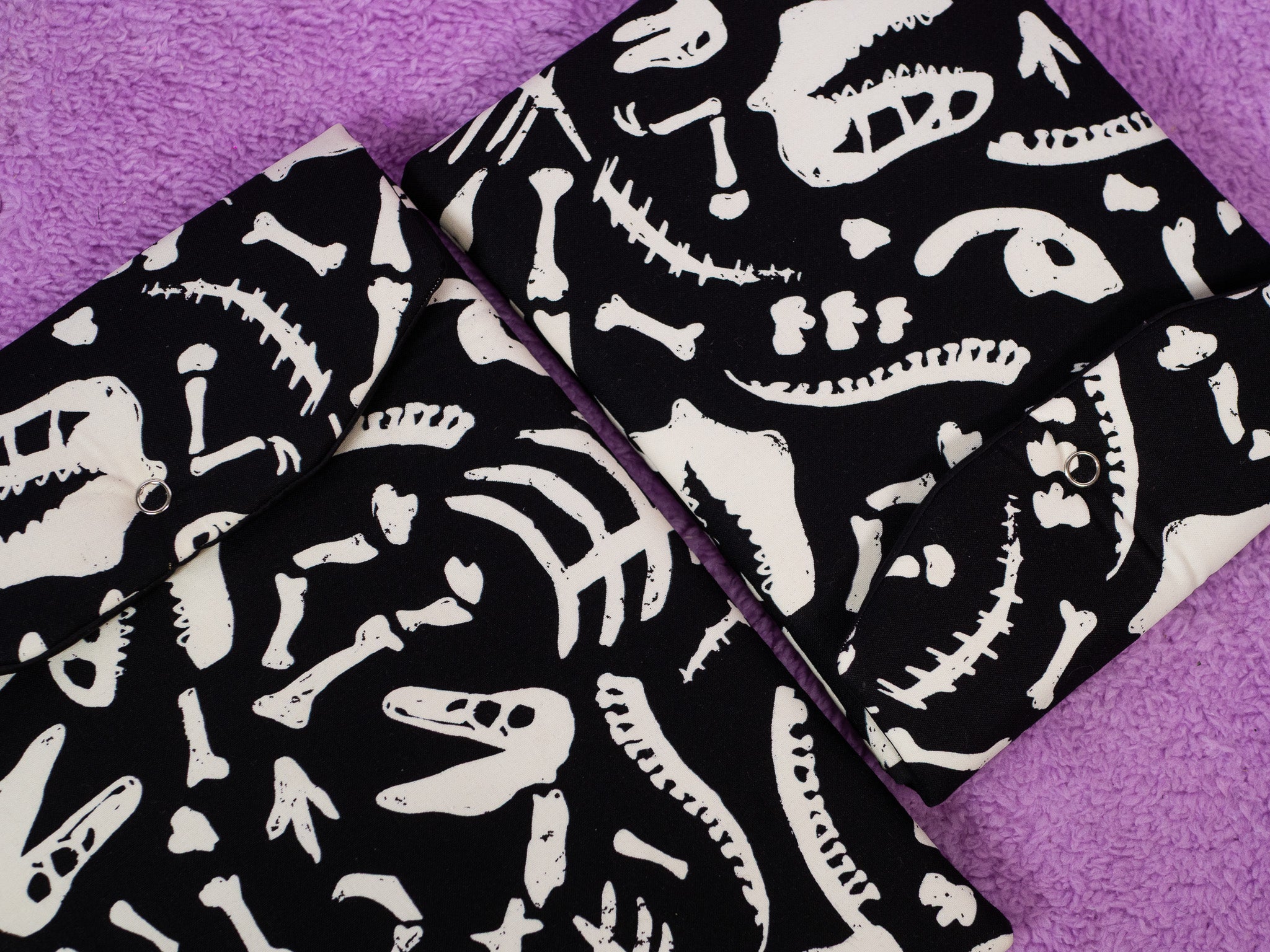 Huesos de dinosaurios