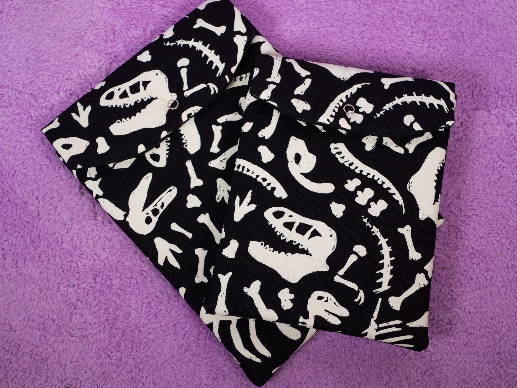 Huesos de dinosaurios