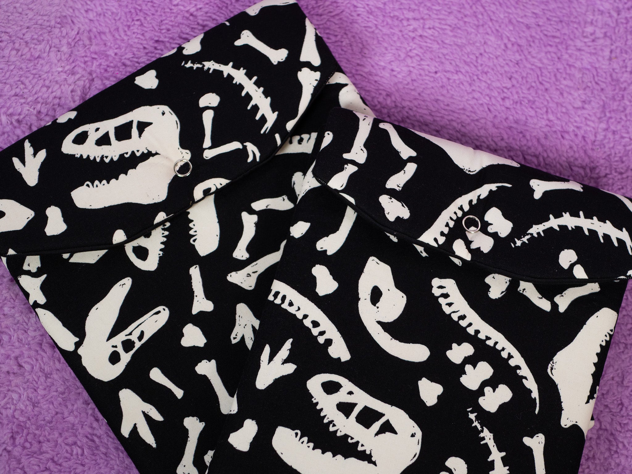 Huesos de dinosaurios