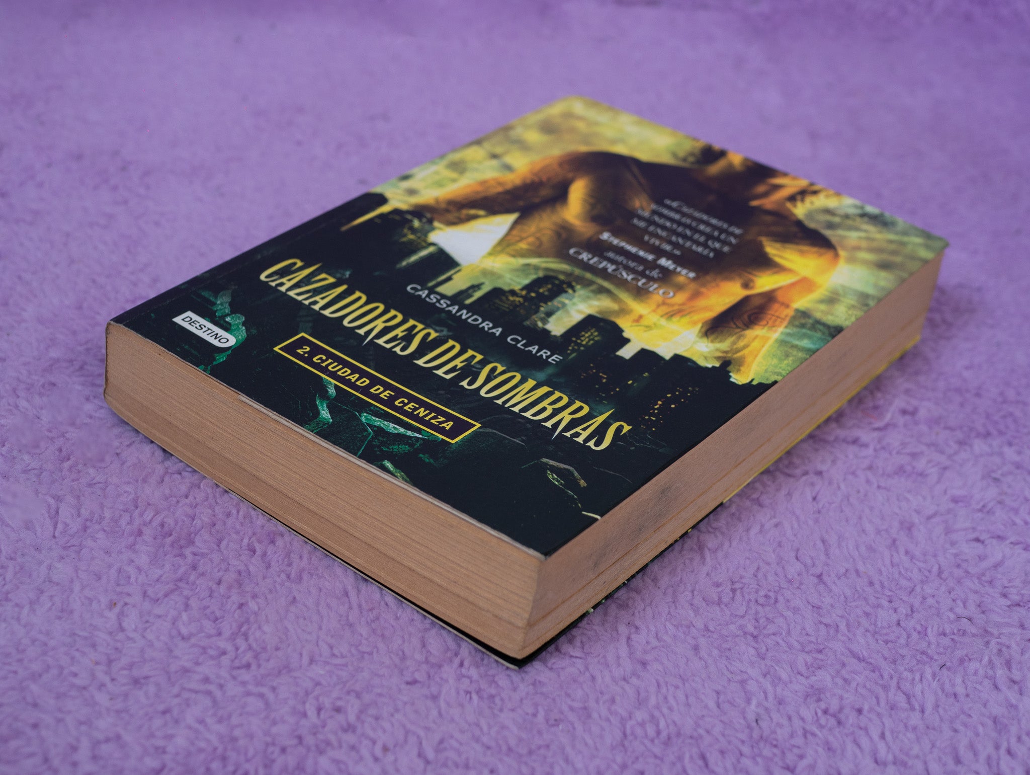 Cazadores de Sombras: Ciudad de Ceniza (Preamado)