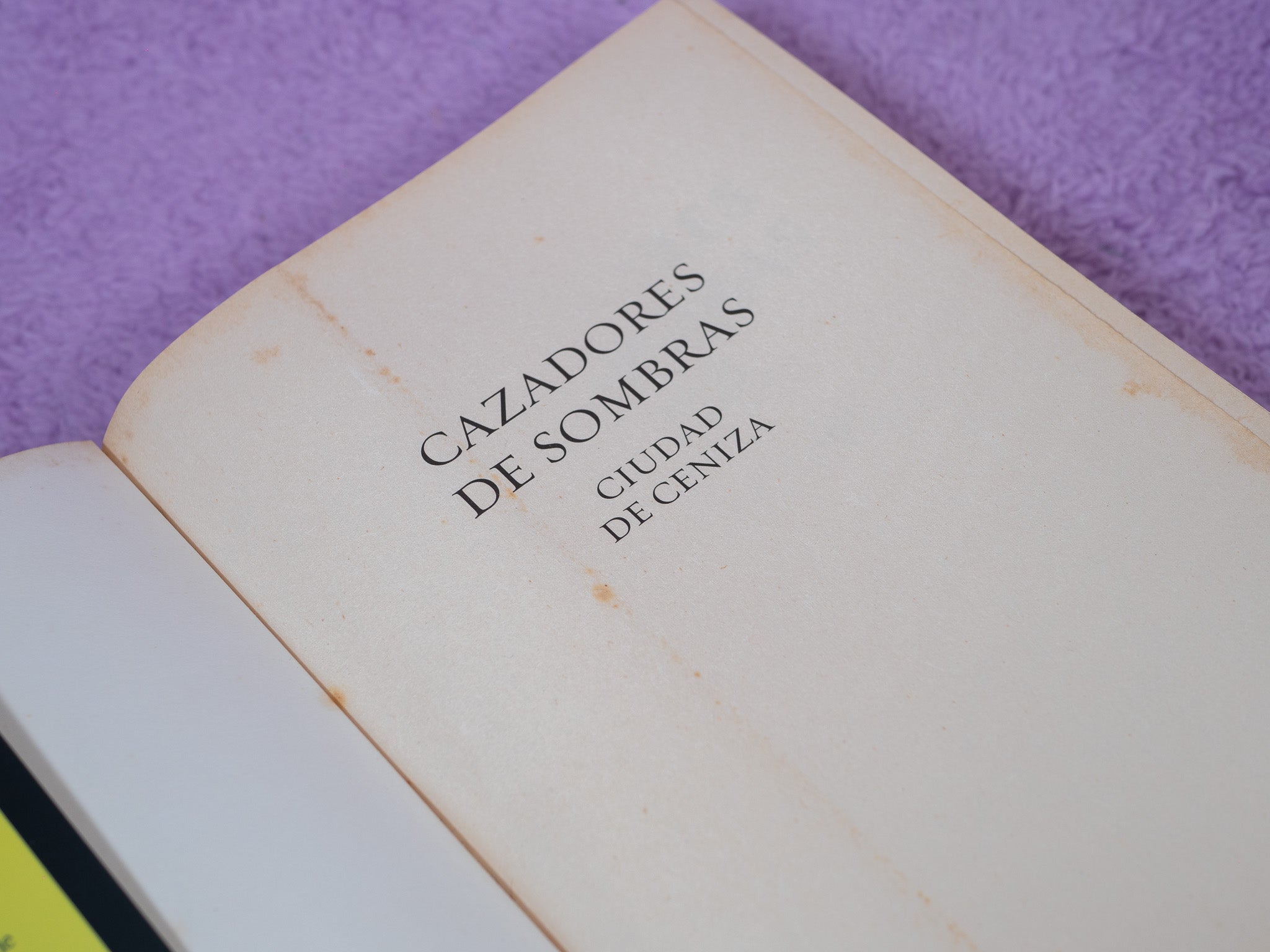 Cazadores de Sombras: Ciudad de Ceniza (Preamado)