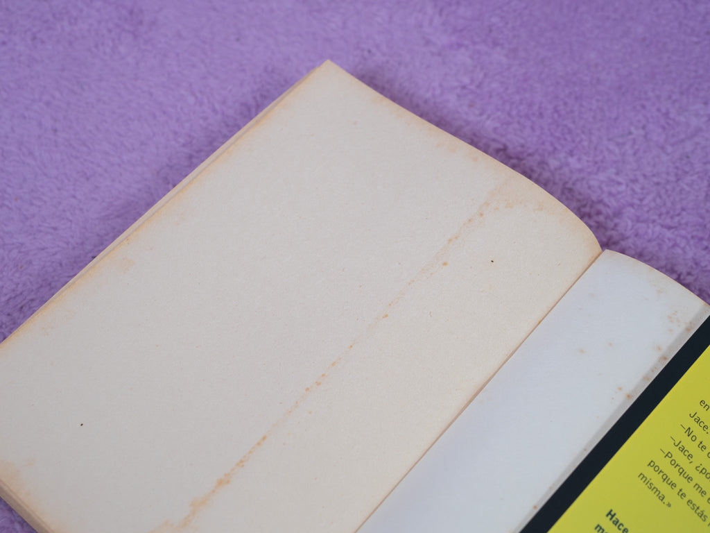 Cazadores de Sombras: Ciudad de Ceniza (Preamado)