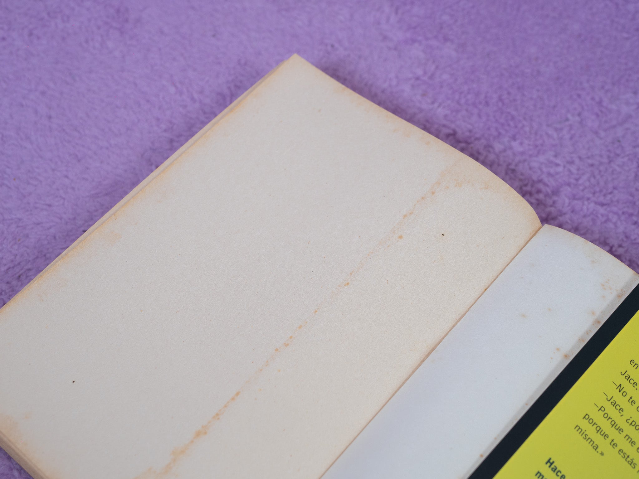 Cazadores de Sombras: Ciudad de Ceniza (Preamado)